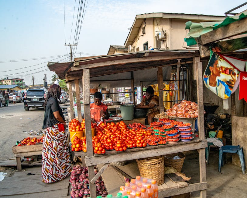 Monopolistic Competition Shapes Global Market Dynamics